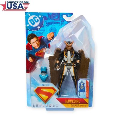 DC UNIVERSE Superman Movie Hawk Girl Action Figure Toy with Accessory for Kids – 6 Inch (DC Comics)